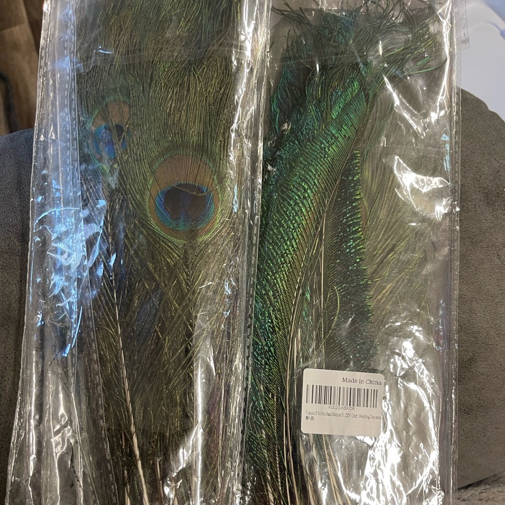 Peacock Feathers